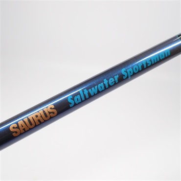 ＳＡＬＴＳＡＳーＳ９０